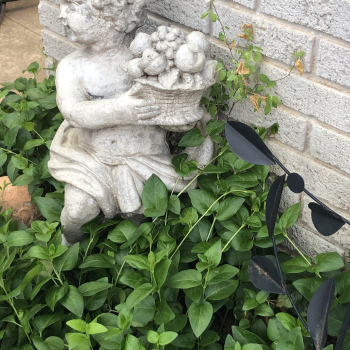 image 123927847
